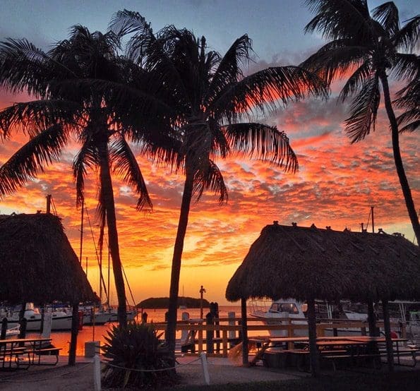 Cool things to do in Florida this Summer