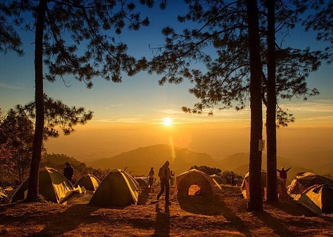 Reasons why you should visit camping resorts this Summer