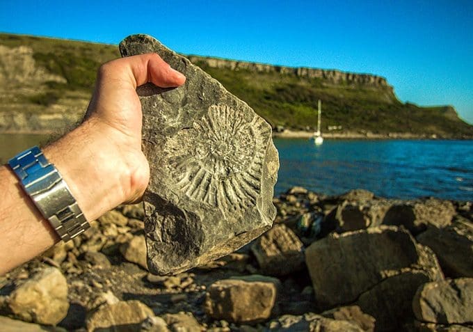 Fossil finds: Tips for a successful trip to Wyoming