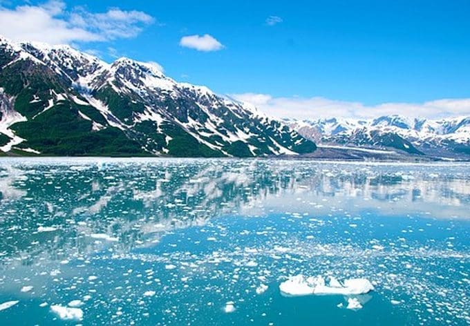 your Alaska experience