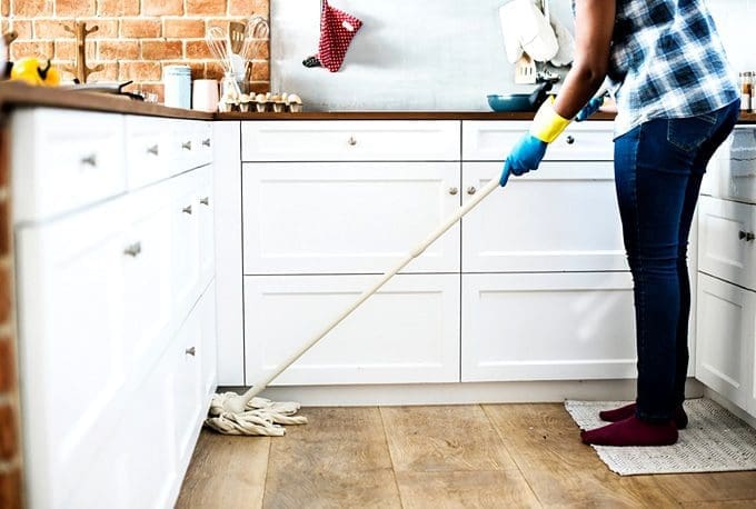 How to keep ants at bay the natural way