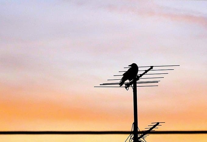 Ways to improve poor antenna reception