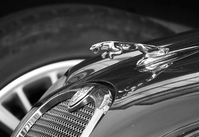 Vehicles to keep an eye out for this year