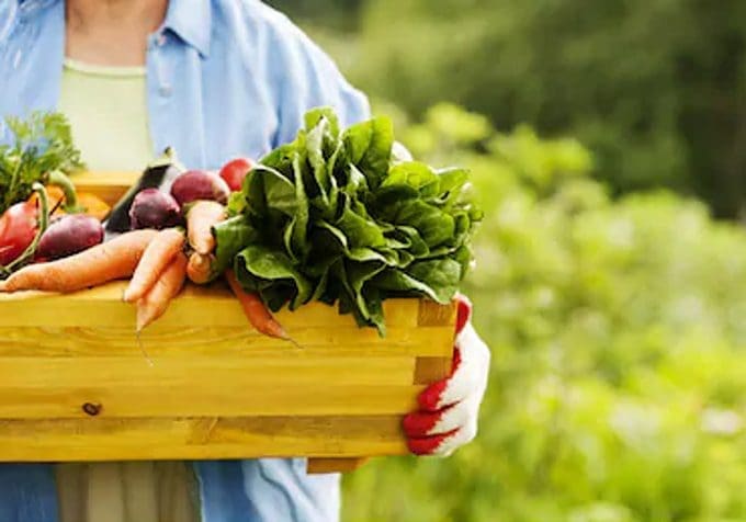 Facts nobody tells you about organic foods