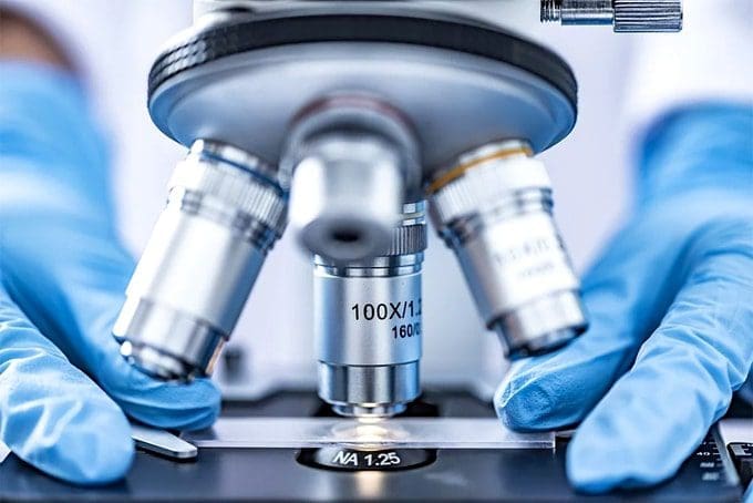 Working with genetics: How to use a DNA testing kit