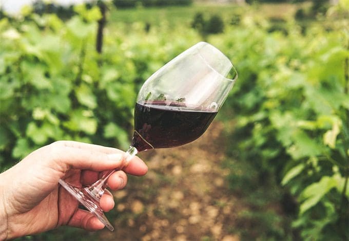 The best wineries in Tasmania to visit and enjoy quality wines