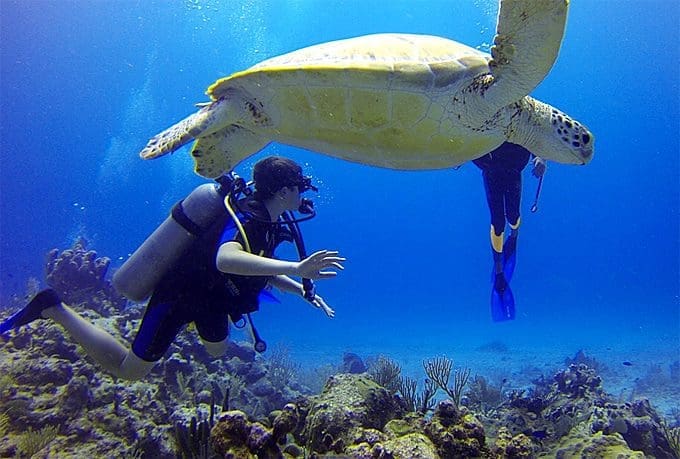 Want to experience different water sports activities? Check this out