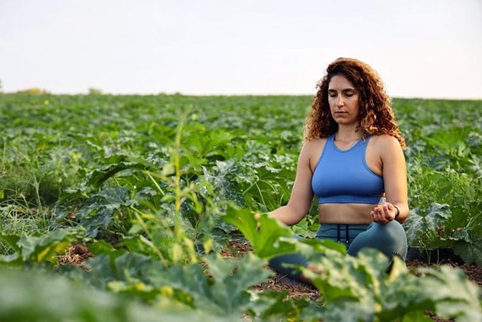 How to create your own meditation garden