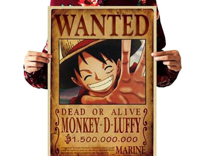 The Luffy Shop: The World of One Piece Merchandise