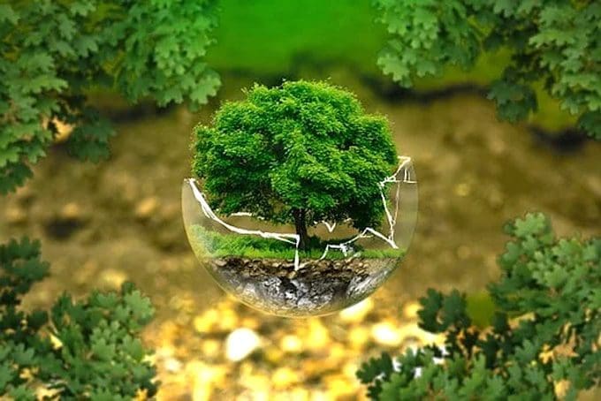 How Can You Be Environmentally Friendly?