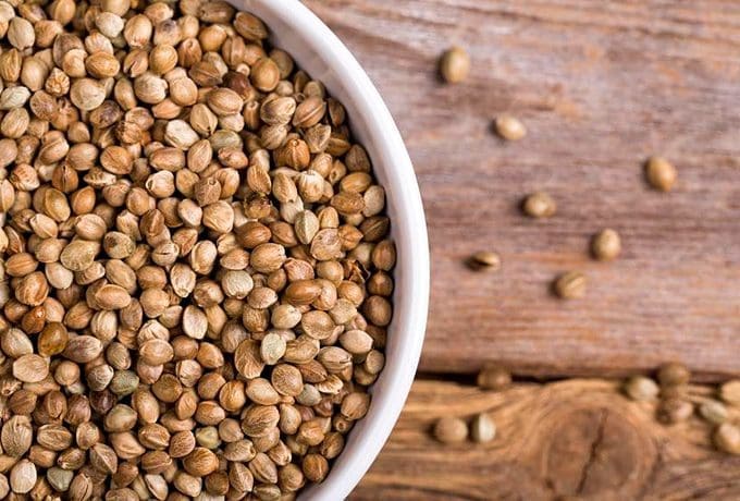 Cannabis Seeds: superfood for body and mind