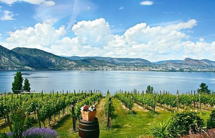 It’s the Perfect Time To Join A Wine Club