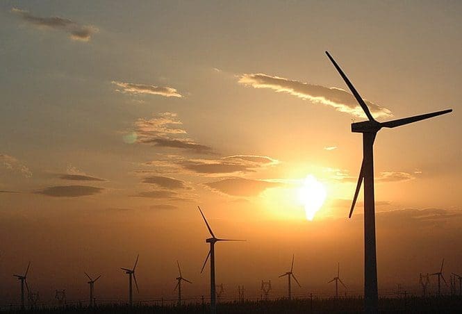 5 Simple Steps to Stop Global Warming