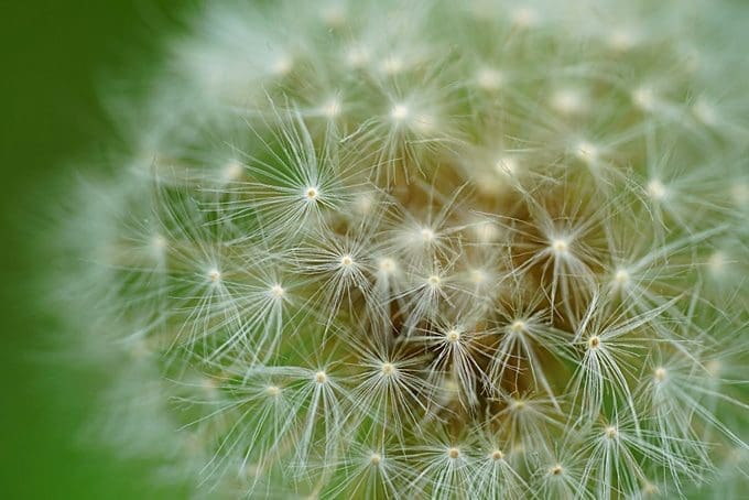 Coping with Allergy Season: A Guide