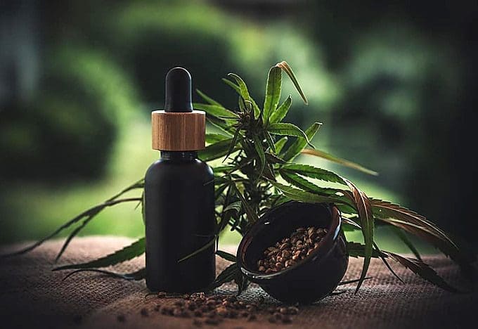 5 Everyday Uses of Hemp