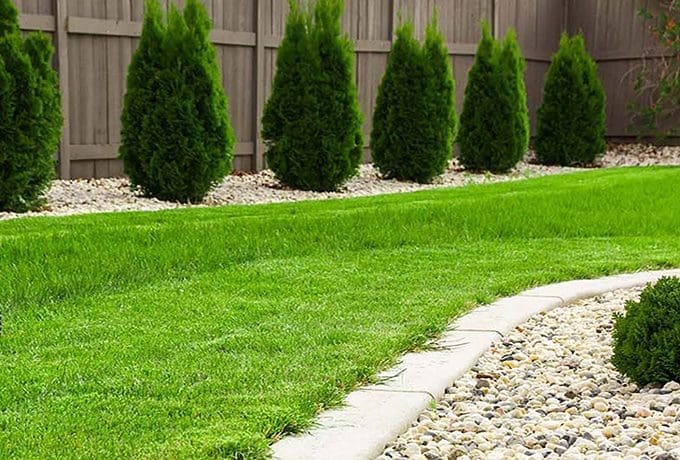 Septic Tank is Getting Full? Here are the Signs to Look For