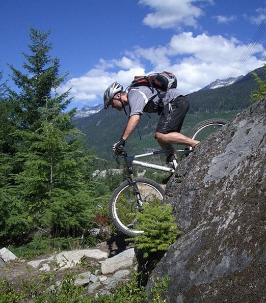 Whistler guide