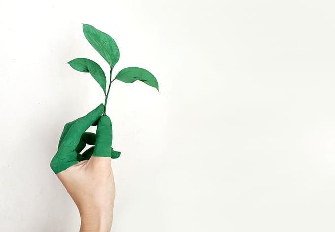 How to Live a Much More Sustainable Lifestyle