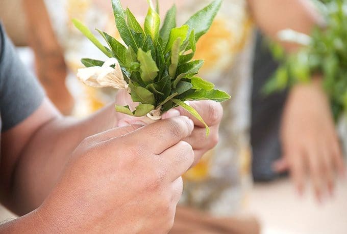 Ayurveda 101 – The Science of Natural Healing