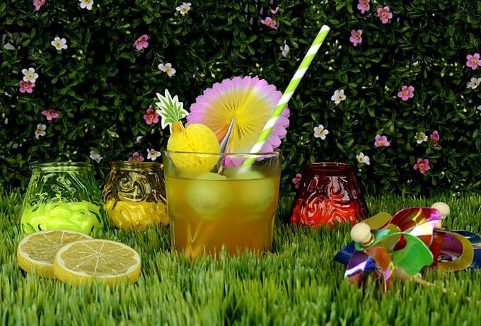 Staycation garden