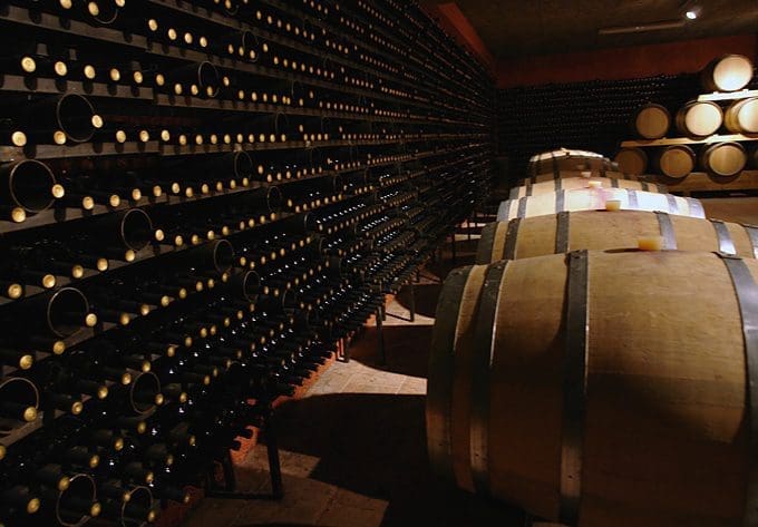 Discover Masseto: Winery of the decade for good reason