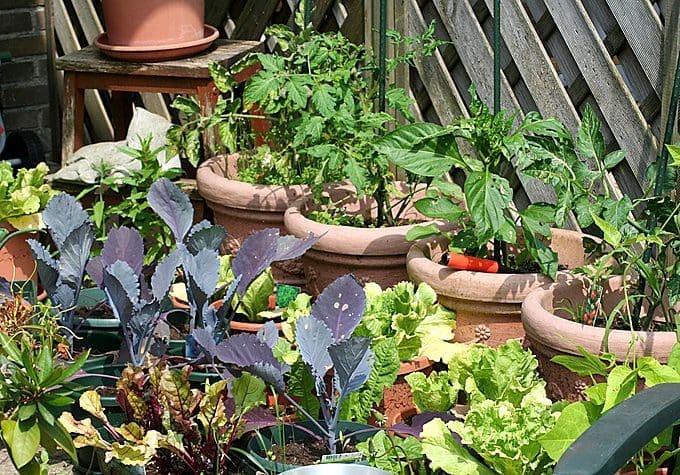5 ways of making more sustainable food choices