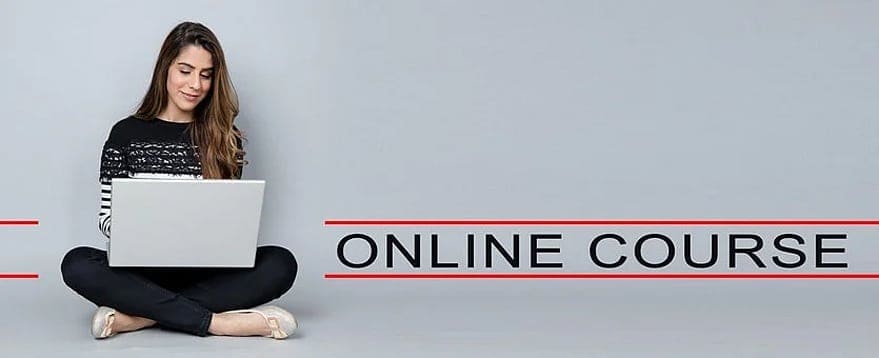 Online Learning Popular