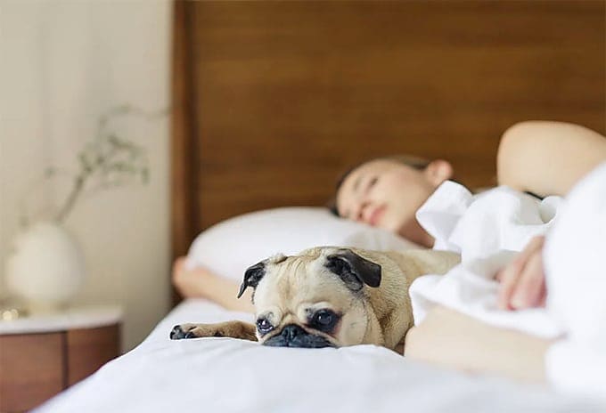 Creating Your Ideal Sleep Oasis In 3 Easy Steps