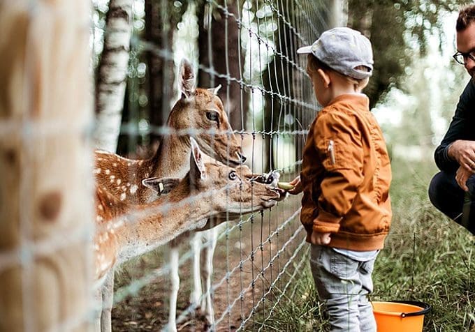 6 Fun Gift Ideas To Surprise Your Kids With