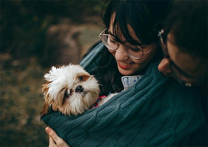 Top Tips to Follow If You Are Traveling With Your Pet