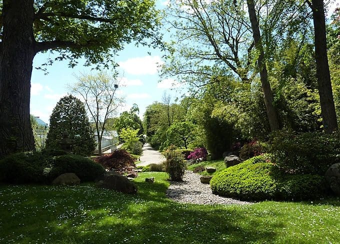 How To Make Your Garden More Welcoming