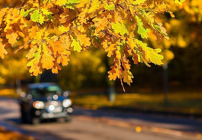 How to Stay Safe On a Road Trip This Summer