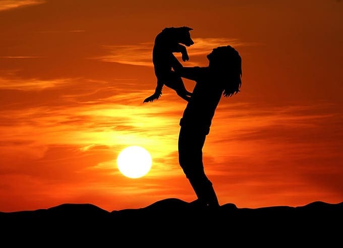 4 Important Things to Know Before Adopting a Puppy
