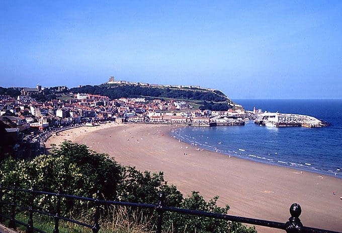 tips Scarborough