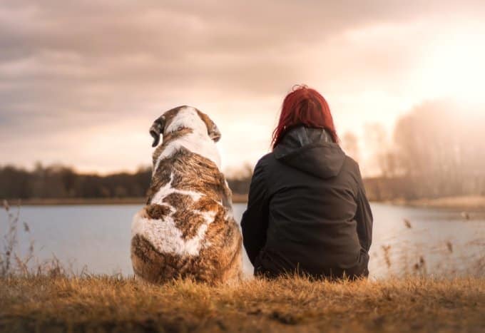 Welcoming Home: Key Reasons Why Dogs Make Incredible Family Pets
