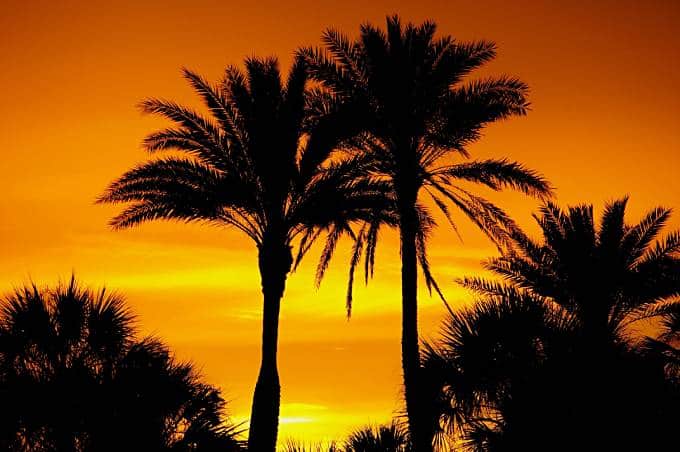 One Weekend in Brandon, Florida – Must-Sees, Day Trips, and Free Tours 
