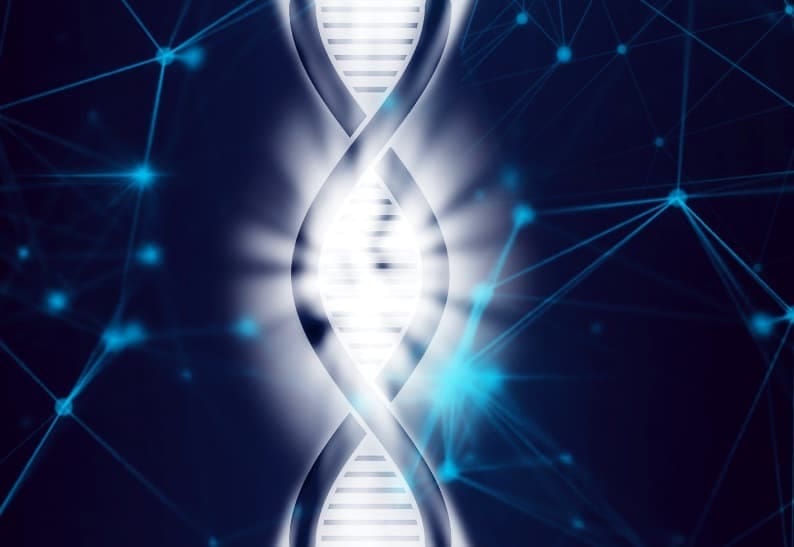 Explore The Benefits Of Regenerative Medicine And Stem Cell Therapy