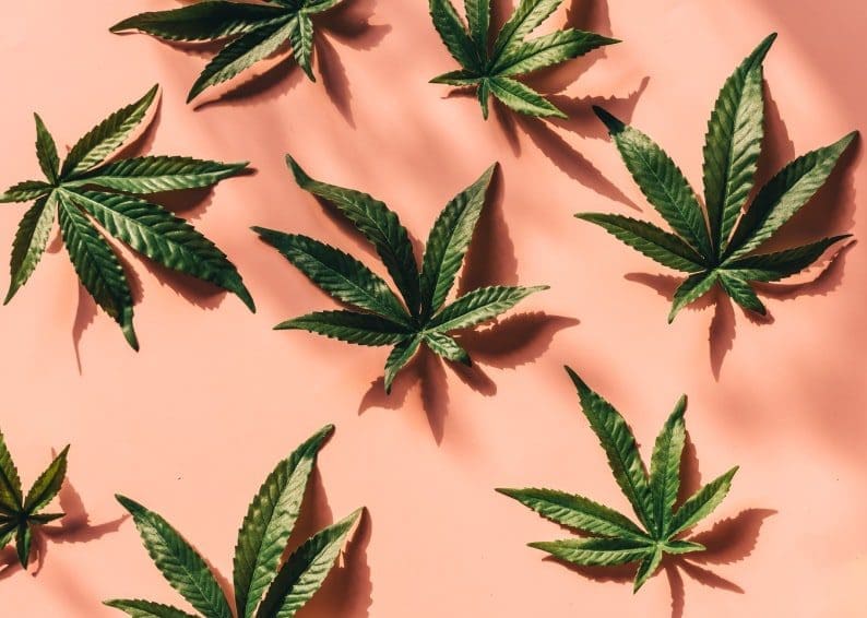 Medical Marijuana Card Requirements: Top Things You Need To Know       