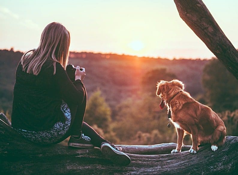 Caring for Your Pets: Nurturing Companionship and Ensuring Their Well-Being