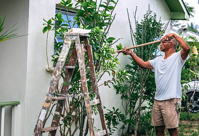 Home Improvement Guide: The Most Common Siding Problems and Solutions