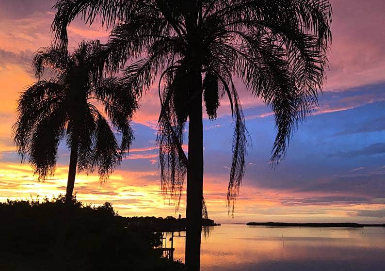 Why Tampa Should Be at the Top of Your Bucket List for a Dreamy Vacation