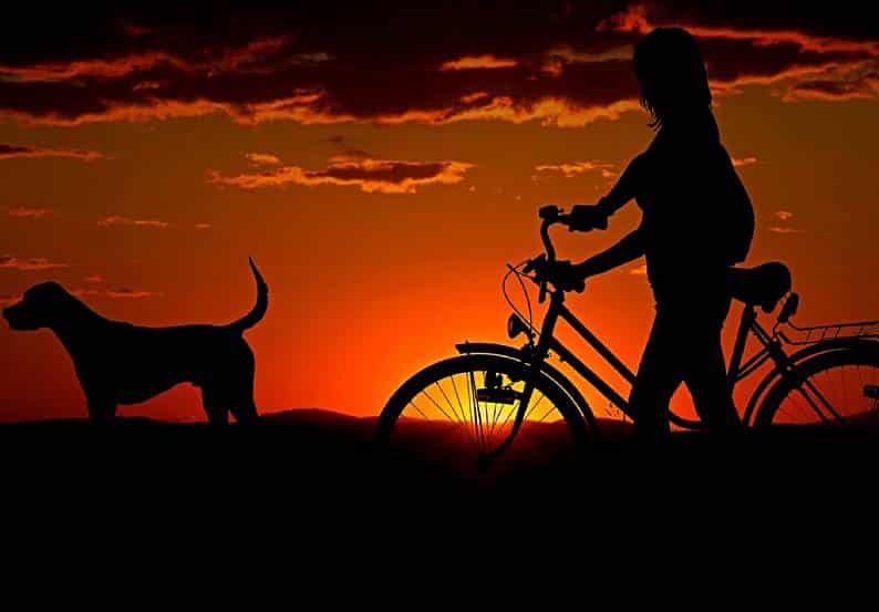 6 Alternative Ways To Get Around Without Burning Fossil Fuels