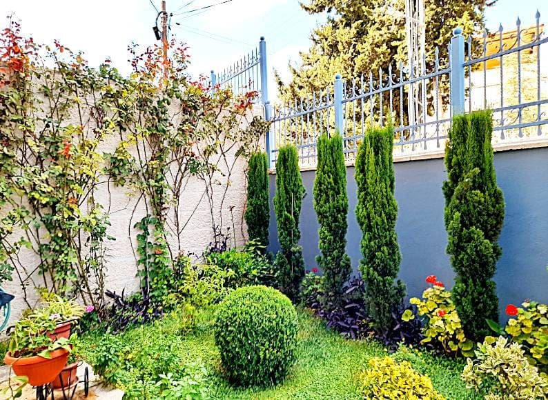 4 Types Of Practical Decorations In Your Yard