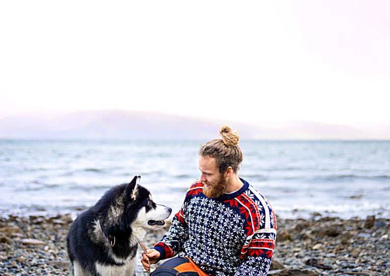 Top Things to Keep in Mind When Choosing the Breed of Your New Pet