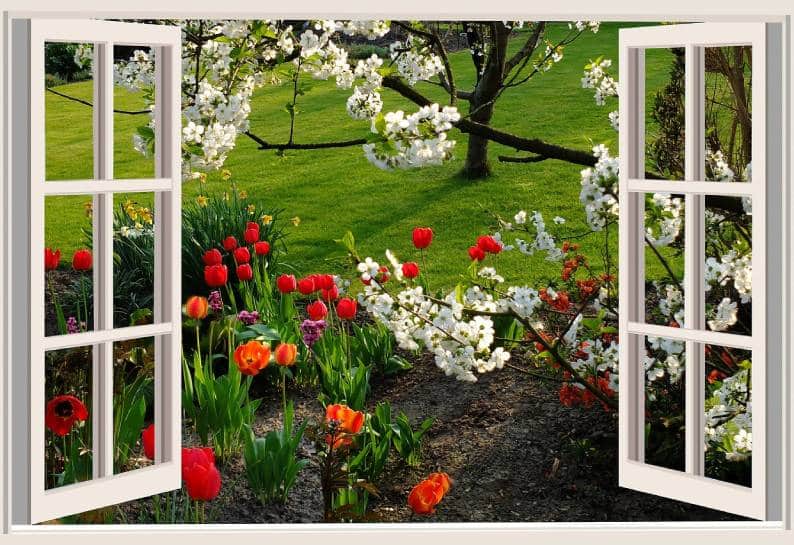 Enhance The Aesthetics Of Your Garden: A How-To Guide