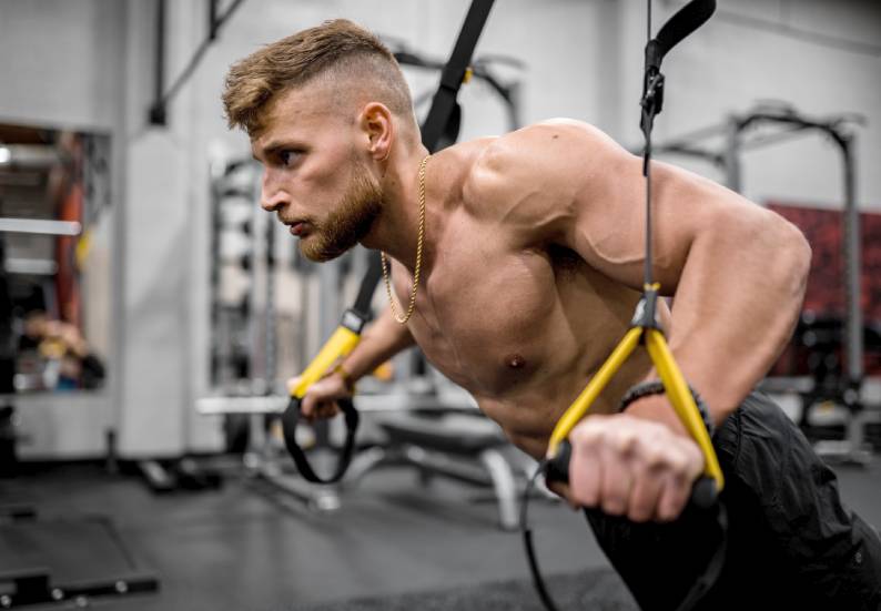 Maximizing Muscle mass