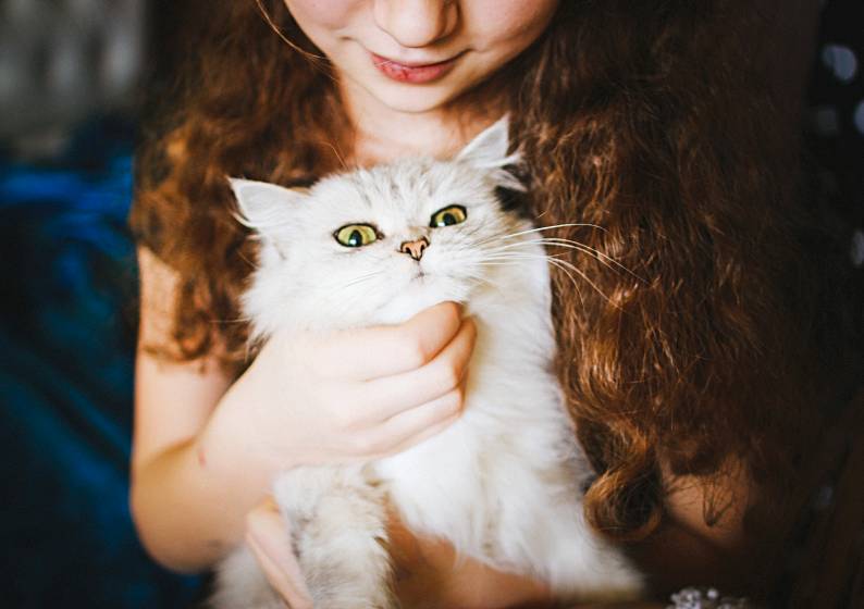 Achieve Purr-fect Longevity to Ensure a Healthy, Happy Life for Your Cat