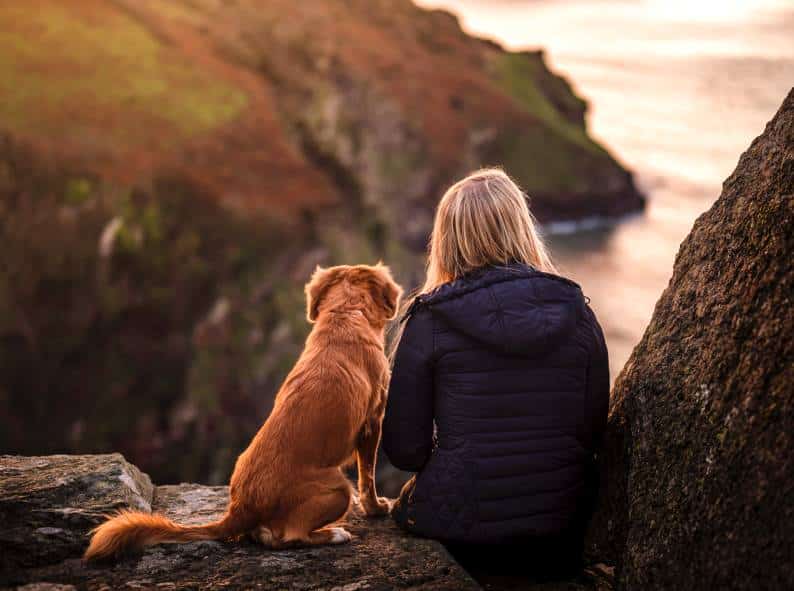 Top 5 Senior Dog Tips to Ensure a Long and Happy Life