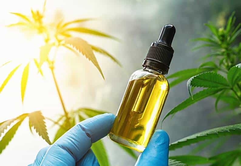 The Science of Sleep: How CBD and Plant Extracts Can Enhance Your Rest