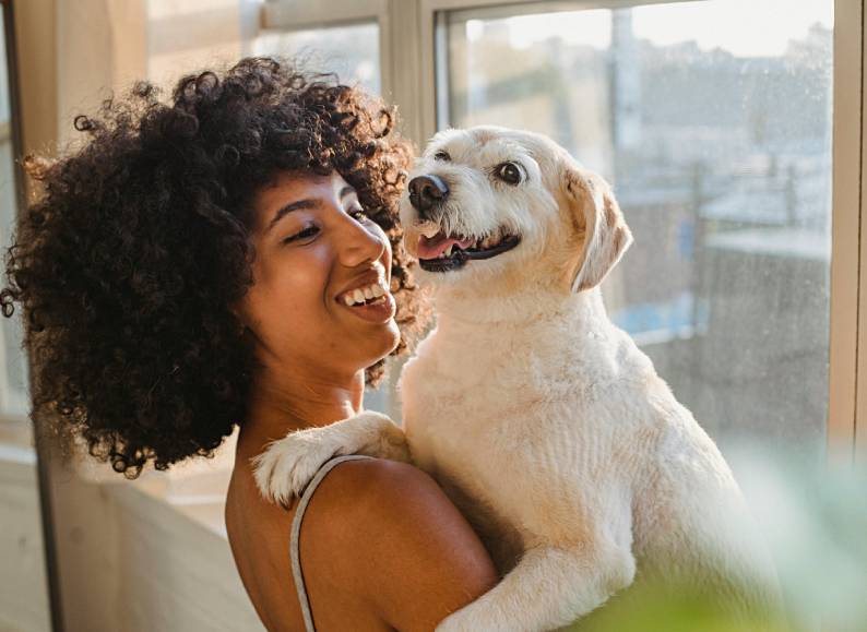 Why Your Dog Can Help You Lead A Healthier And Happier Life